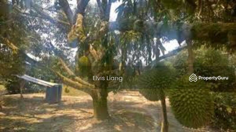 For Sale - Asahan, Jasin, Melaka