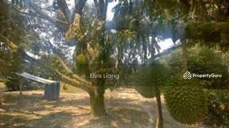 For Sale - Agriculture land at Kampung Sawah