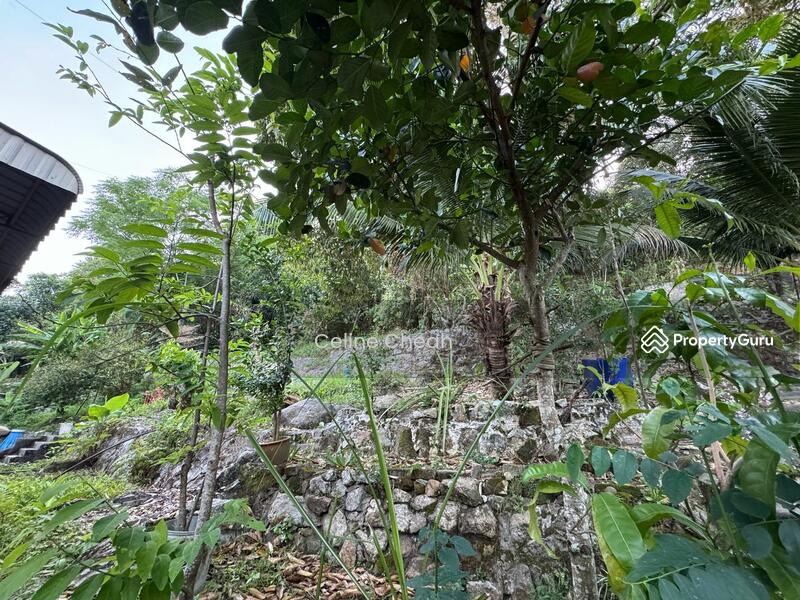 Untuk Dijual - Cangkat Sungai Ara