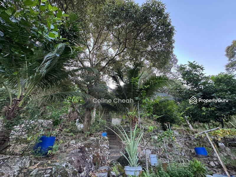 Untuk Dijual - Cangkat Sungai Ara