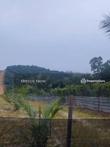 For Sale - Dangi