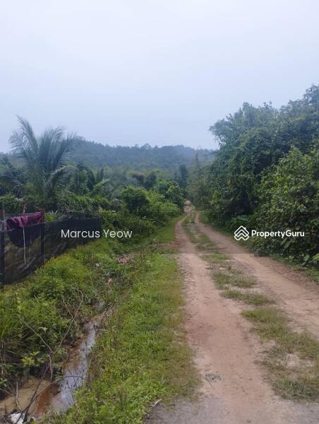 For Sale - Dangi
