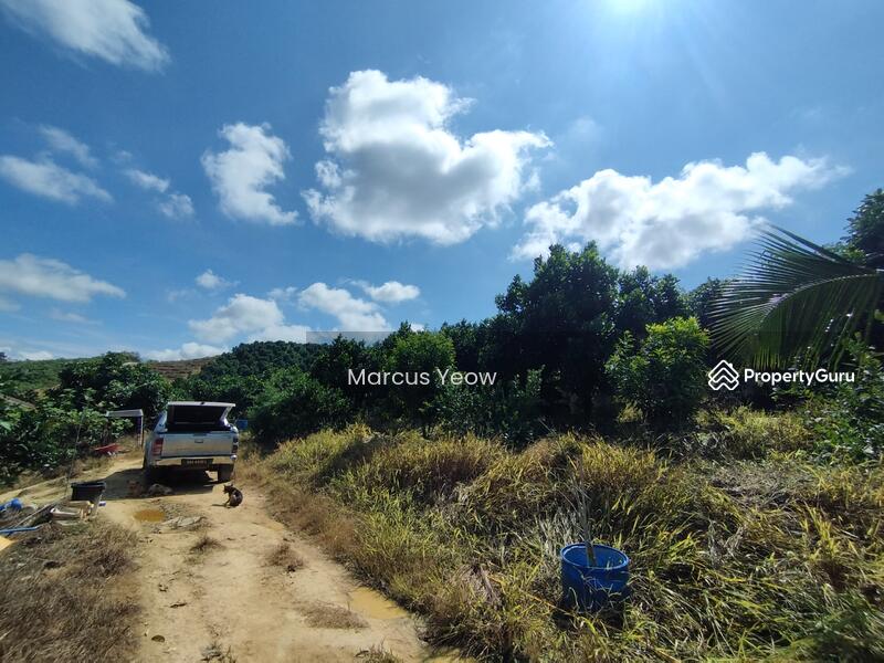 For Sale - Dangi