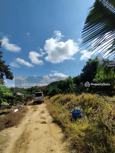 For Sale - Dangi