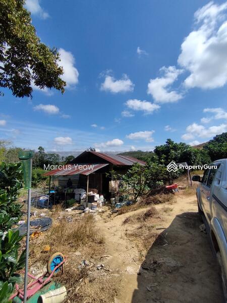 For Sale - Dangi