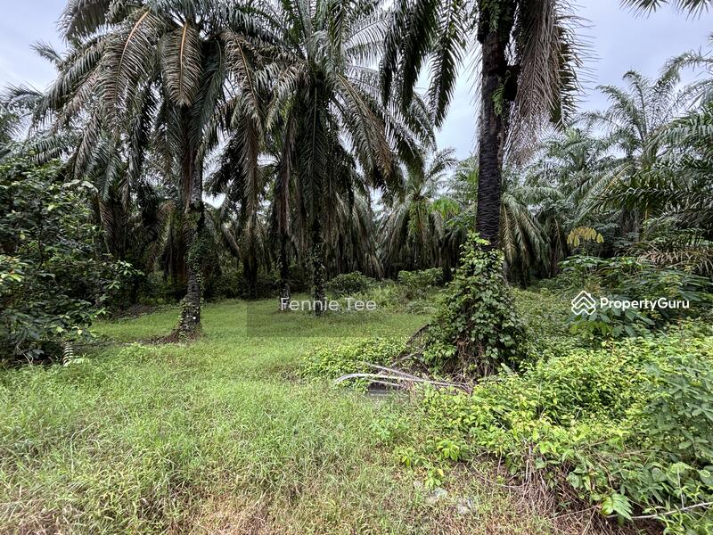 Untuk Dijual - Taman Melor Teluk Intan