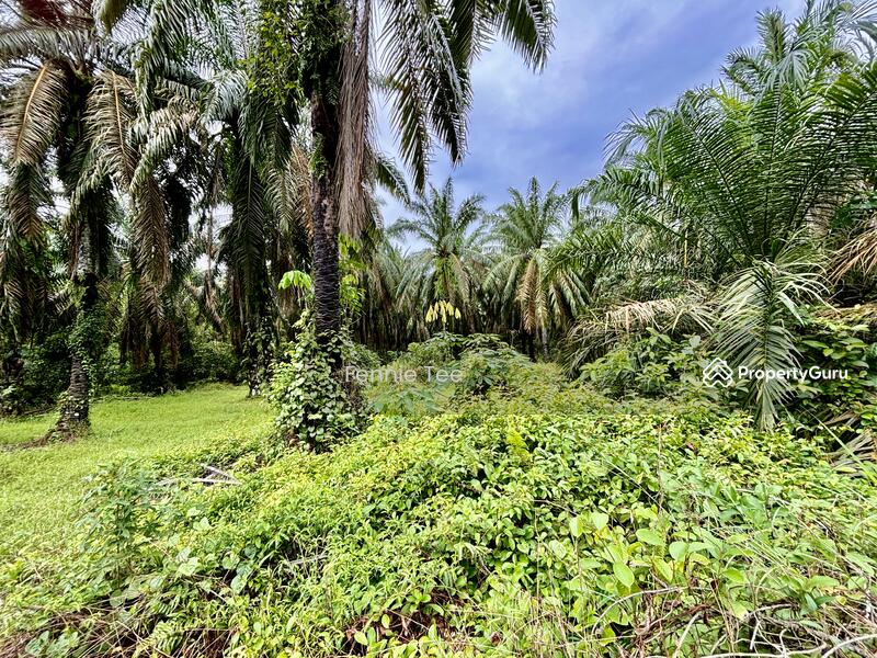Untuk Dijual - Taman Melor Teluk Intan