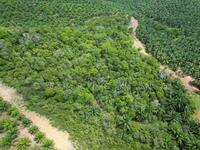 For Sale - Jalan Bedong To Bukit Selambau Agricultural Land