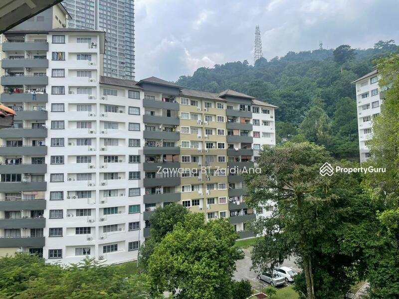 For Sale - Paradesa Rustica