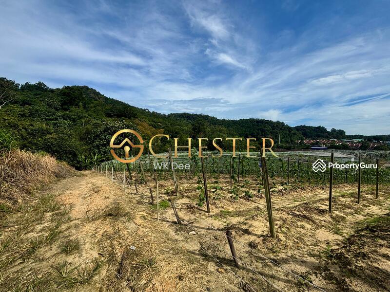 For Sale - Next to Jalan Tanjung Labuh. 22.96 acres agricultural land for development use. (Zoning Residential)