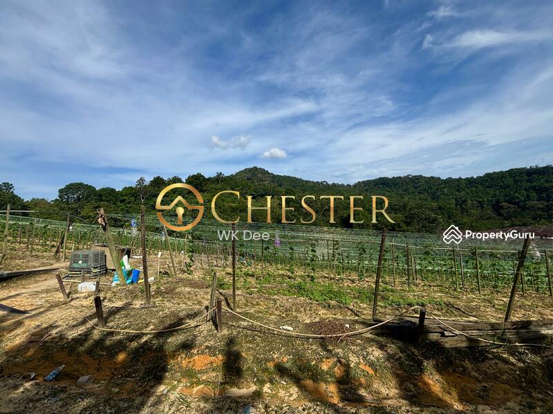 For Sale - Next to Jalan Tanjung Labuh. 22.96 acres agricultural land for development use. (Zoning Residential)