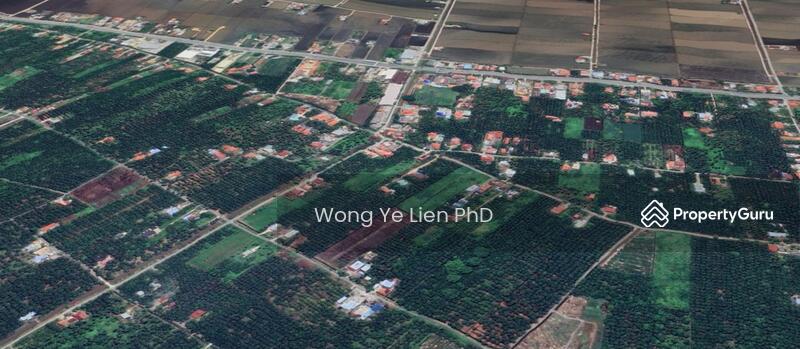 www.drwongproperty.com