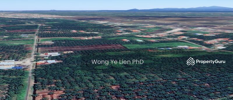www.drwongproperty.com