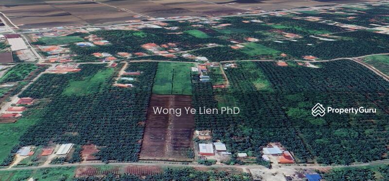 www.drwongproperty.com