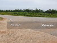 For Sale - Kuala Selangor Api Api Oil Palm land for sale
