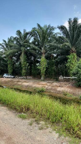 For Sale - Bukit Bakri