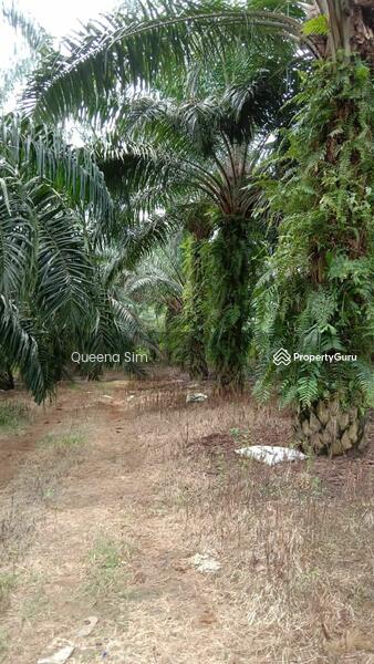 For Sale - Bukit Bakri