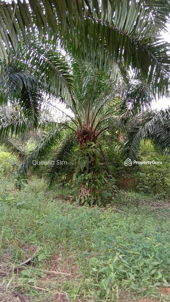 For Sale - Bukit Bakri