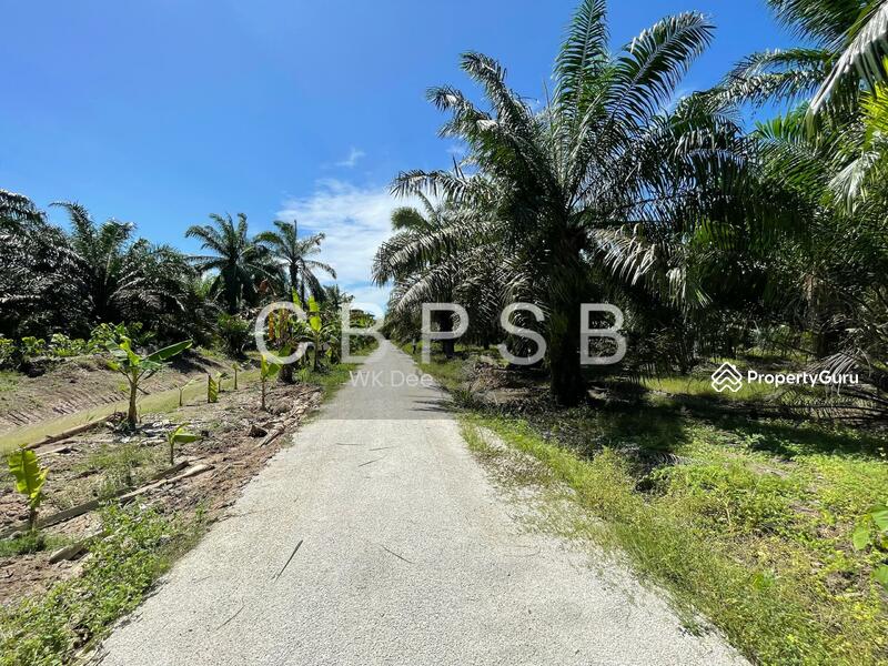Well maintained Oil Palm @ Kampung Kelichap. 4-6 tons harvest available. untuk Untuk Dijual - RM 665,297, Apr 2026 - PropertyGuru.com.my