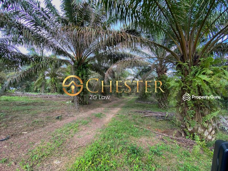 For Sale - Parit Yaani batu Pahat