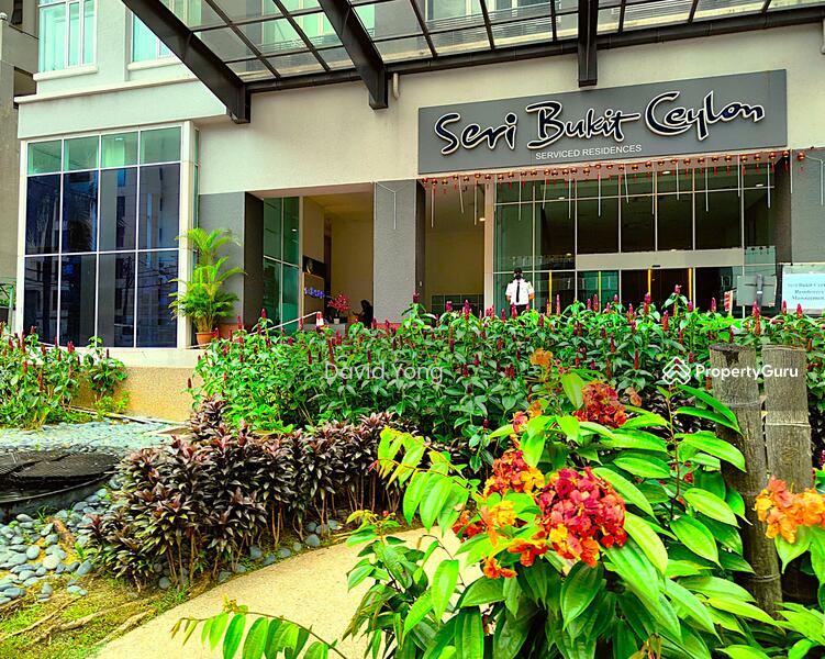 City living and garden feel, the best of both worlds