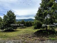 For Sale - 80 Acres Durian Farm Freehold Kuala Pilah