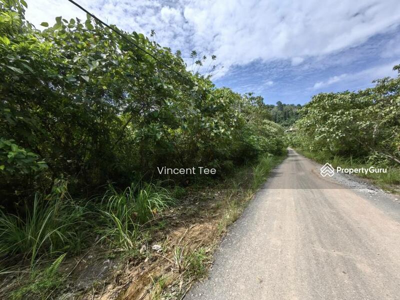 For Sale - 9 Acres Agriculture Land Kerambit Kuala Lipis