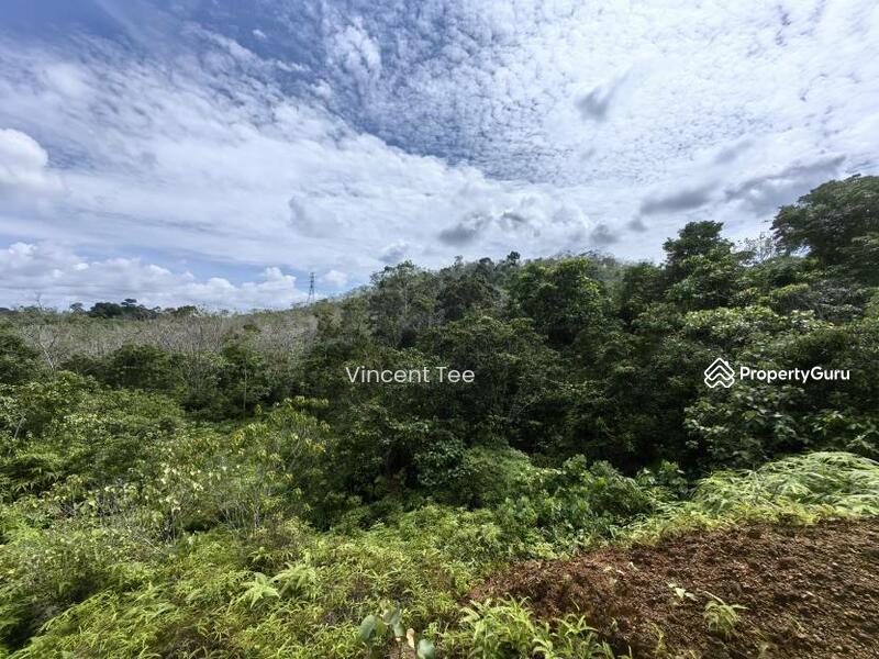 For Sale - 9 Acres Agriculture Land Kerambit Kuala Lipis