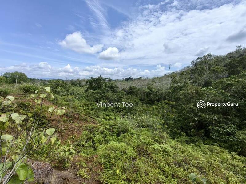 For Sale - 9 Acres Agriculture Land Kerambit Kuala Lipis