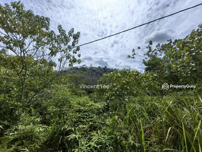 For Sale - 9 Acres Agriculture Land Kerambit Kuala Lipis