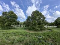 For Sale - 5 Acre Durian Farm Padang Tengku Kuala Lipis
