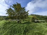 For Sale - 19 Acres Freehold Durian Sega Raub