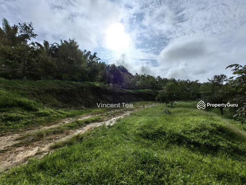For Sale - 19 Acres Freehold Durian Sega Raub