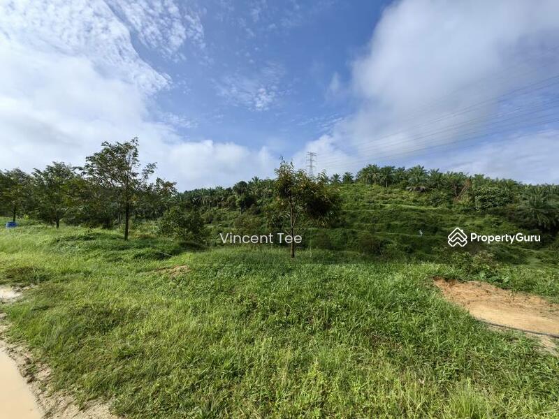 For Sale - 19 Acres Freehold Durian Sega Raub