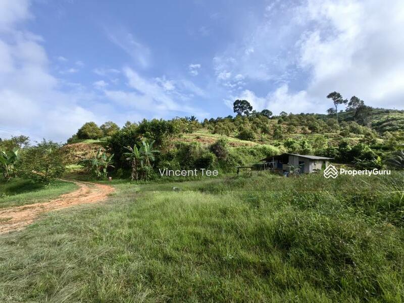 For Sale - 19 Acres Freehold Durian Sega Raub