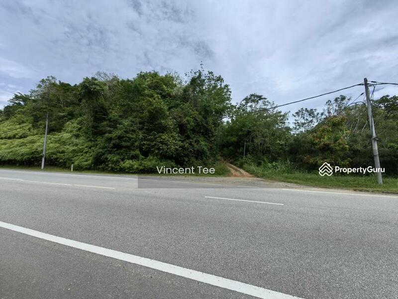 For Sale - 19 Acres Freehold Durian Sega Raub