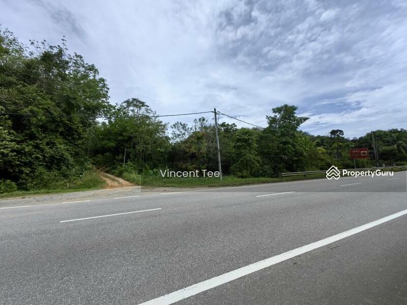 For Sale - 19 Acres Freehold Durian Sega Raub