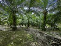 For Sale - 2 Acres Facing Mainroad Damak Jerantut