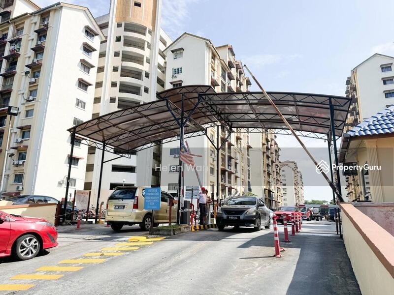 For Sale - Vista Lavender