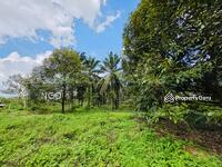 For Sale - Durian Farm Kampong Kwang Tung Chaah Labis