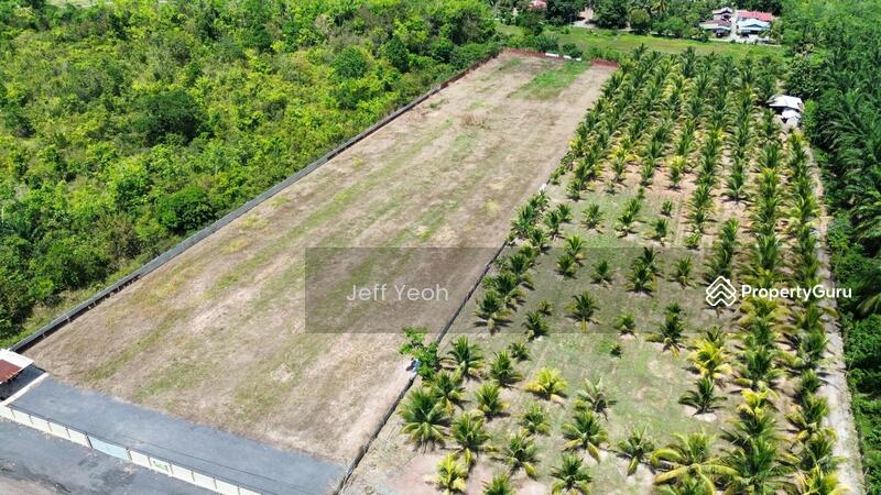 Untuk Dijual - Napoh