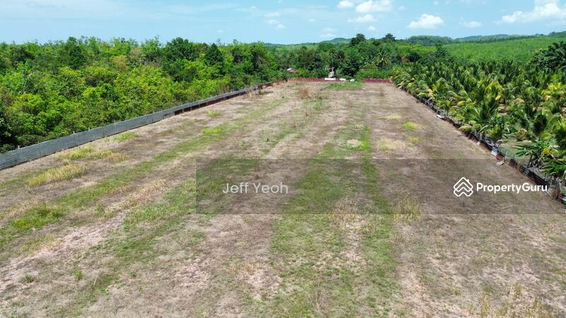 Untuk Dijual - Napoh