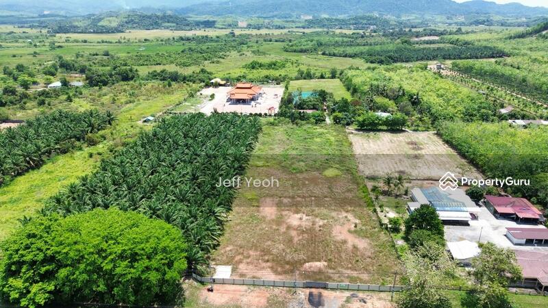 Untuk Dijual - Napoh