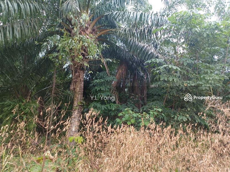 Tanah Perindustrian untuk Dijual di Bandar Bestari (Klang) - Y.L. Yong - PropertyGuru.com.my