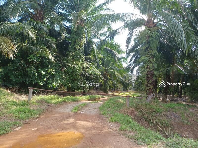 Tanah Perindustrian untuk Dijual di Bandar Bestari (Klang) - Y.L. Yong - PropertyGuru.com.my