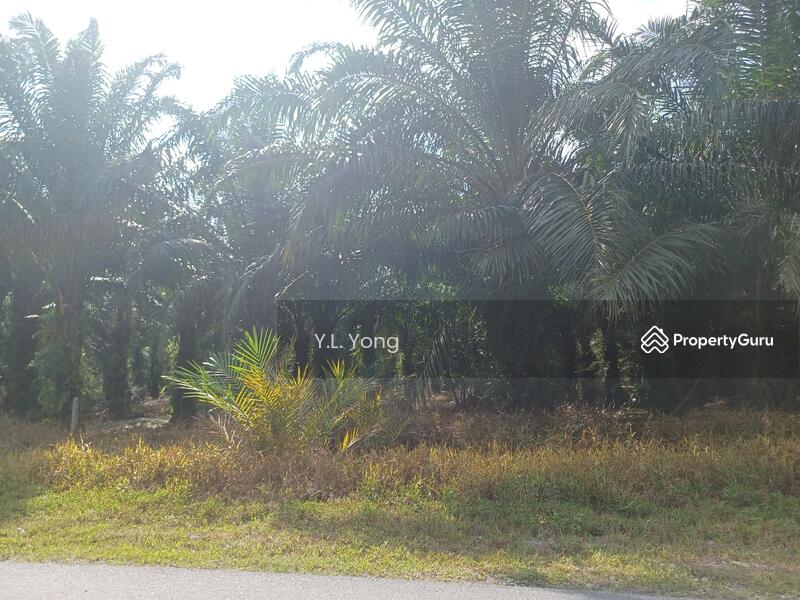 Tanah Perindustrian untuk Dijual di Bandar Bestari (Klang) - Y.L. Yong - PropertyGuru.com.my