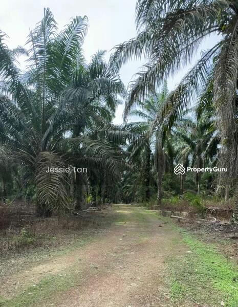 Untuk Dijual - Labis Labis Labisss