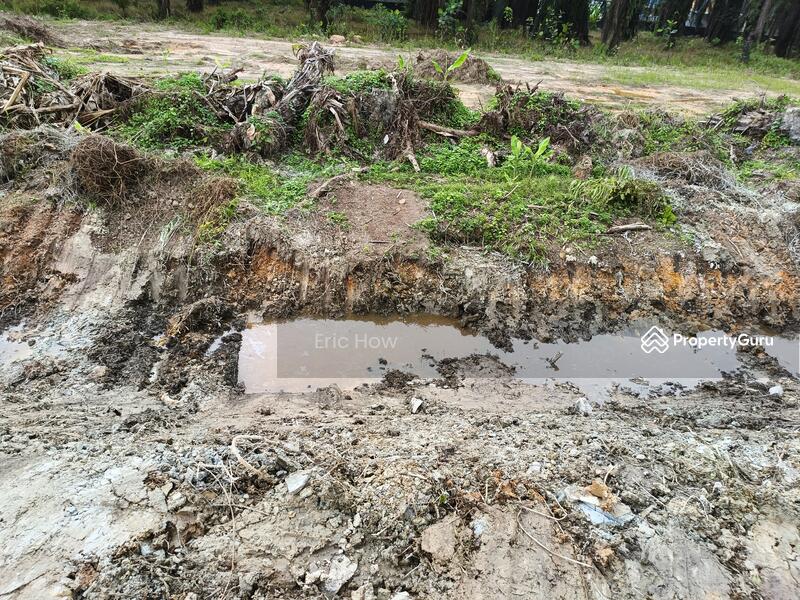 For Sale - tanjung dua belas