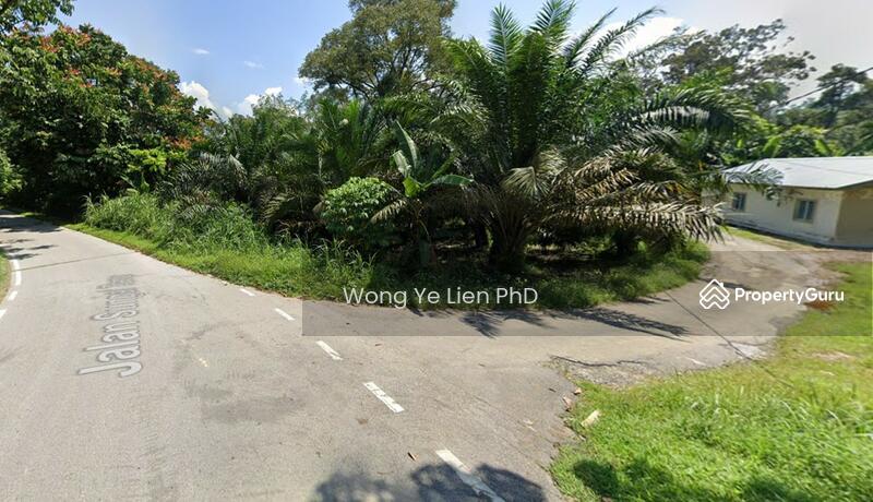 www.drwongproperty.com