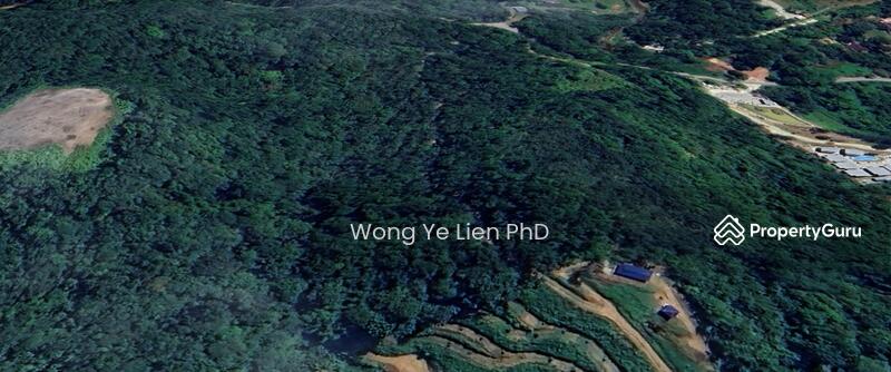 www.drwongproperty.com